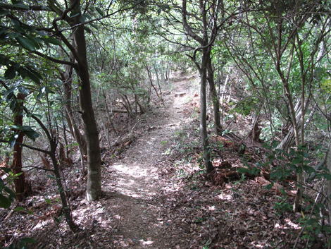 20151006hike (137)
